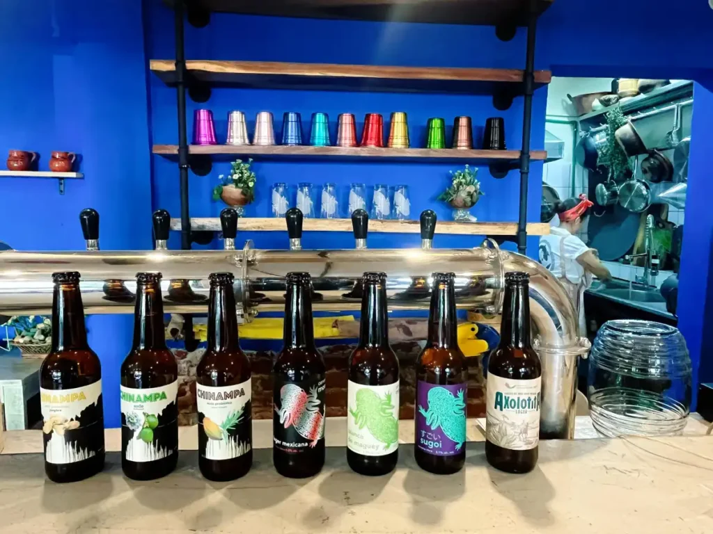 axolotita_agrofonda3