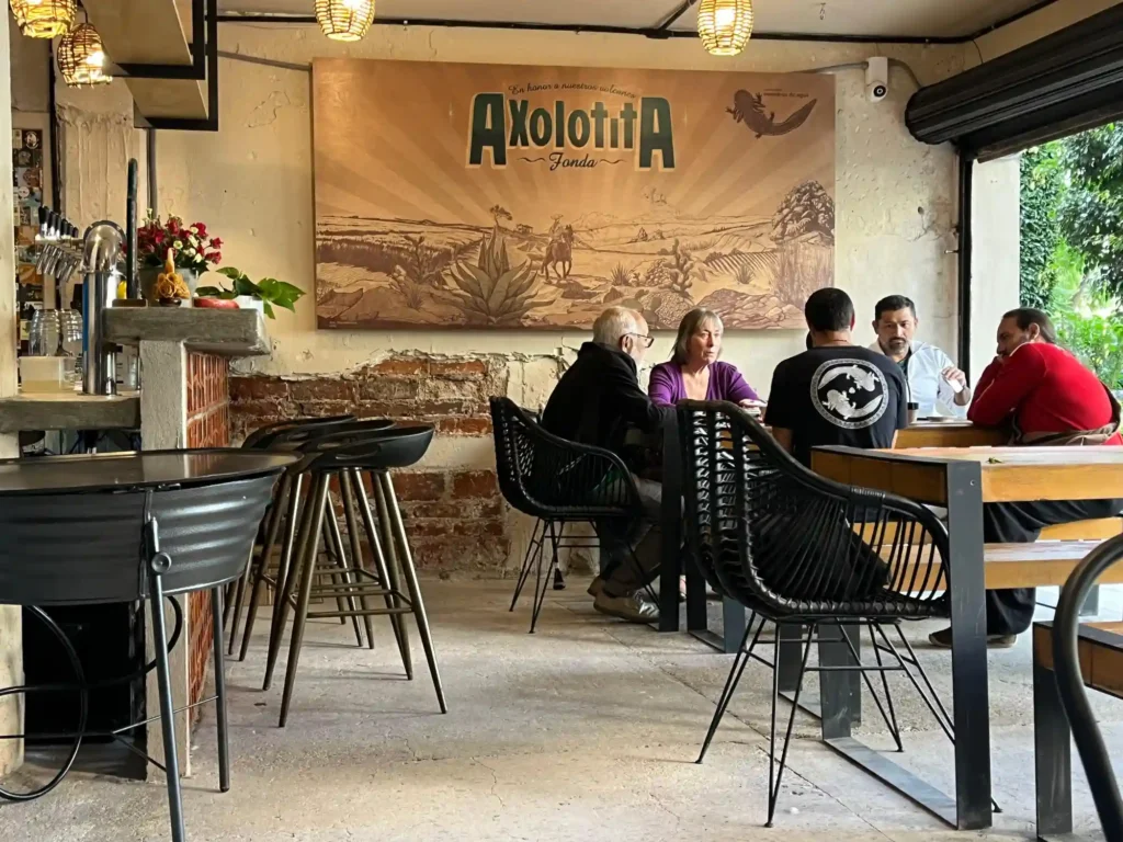 slide_fonda_axolotita